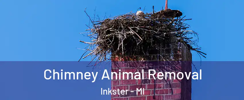 Chimney Animal Removal Inkster - MI