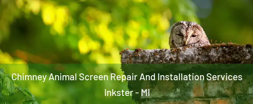  Chimney Animal Screen Repair And Installation Services Inkster - MI