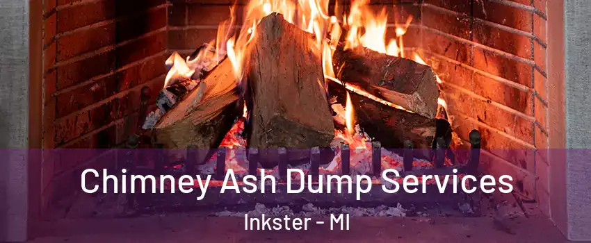  Chimney Ash Dump Services Inkster - MI