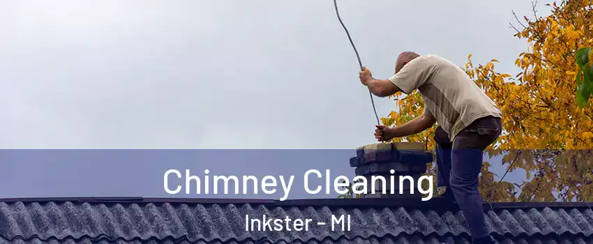  Chimney Cleaning Inkster - MI