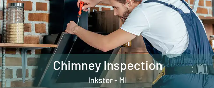  Chimney Inspection Inkster - MI
