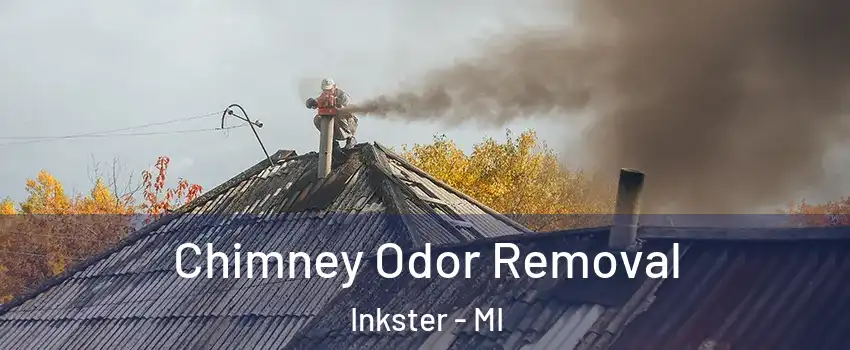  Chimney Odor Removal Inkster - MI