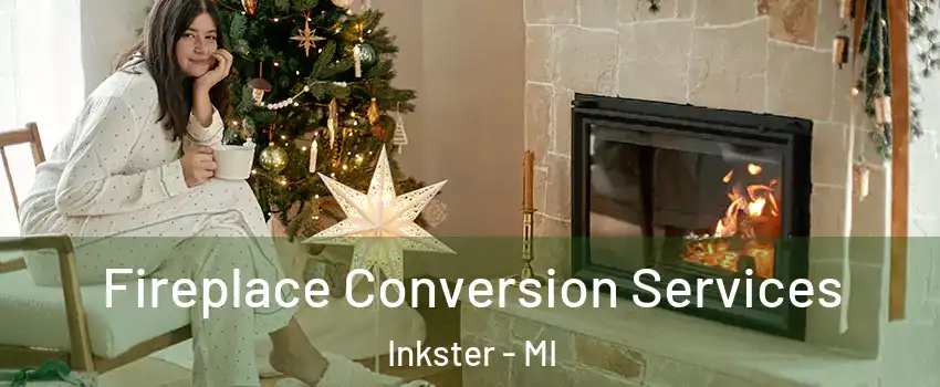  Fireplace Conversion Services Inkster - MI