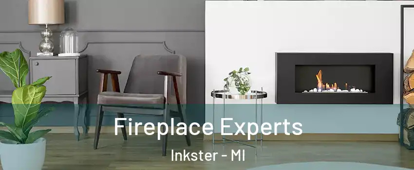  Fireplace Experts Inkster - MI