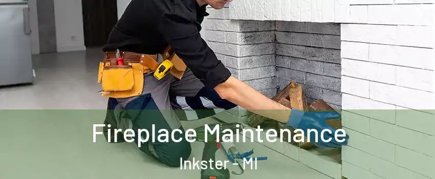  Fireplace Maintenance Inkster - MI