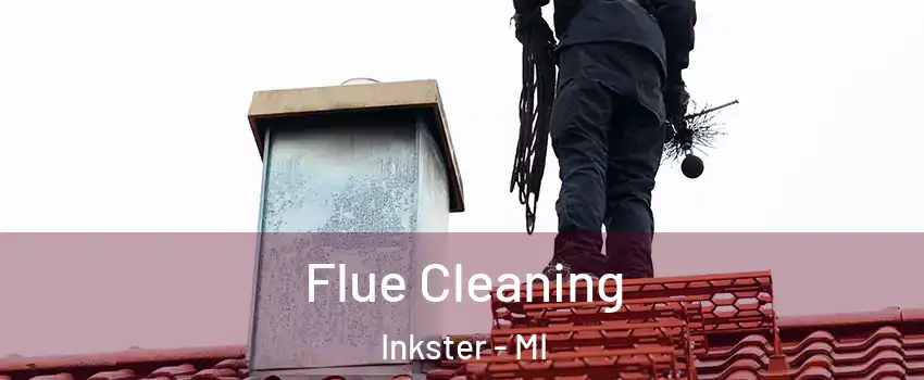  Flue Cleaning Inkster - MI