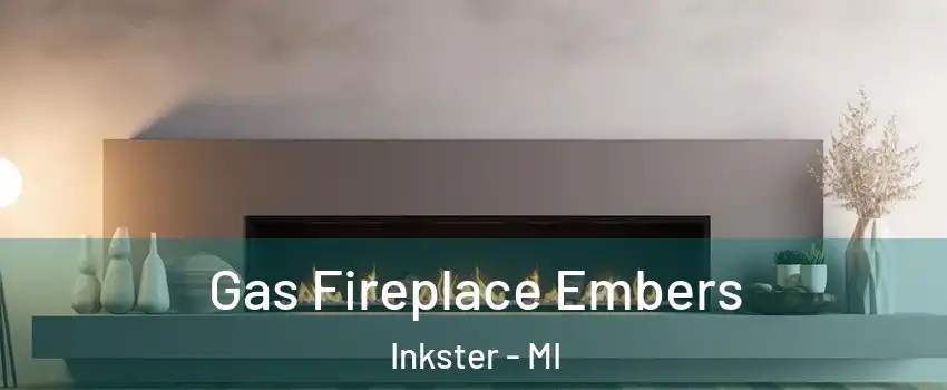  Gas Fireplace Embers Inkster - MI