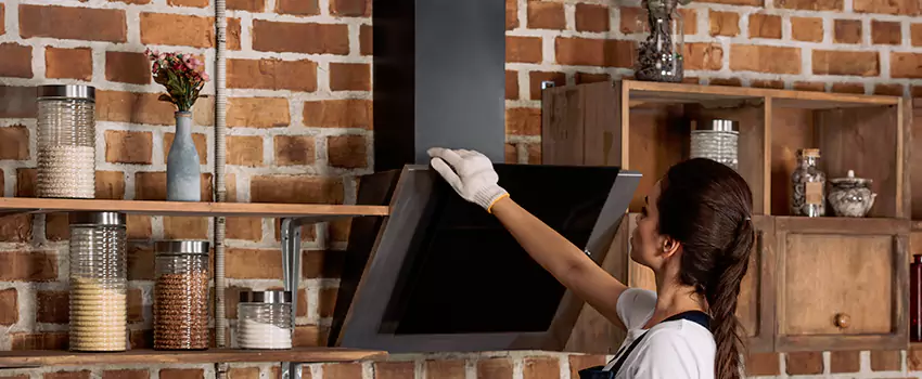 Chimney Installation in Inkster, MI