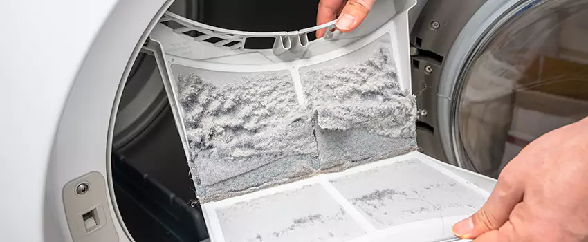 Best Dryer Lint Removal Company in Inkster, Michigan