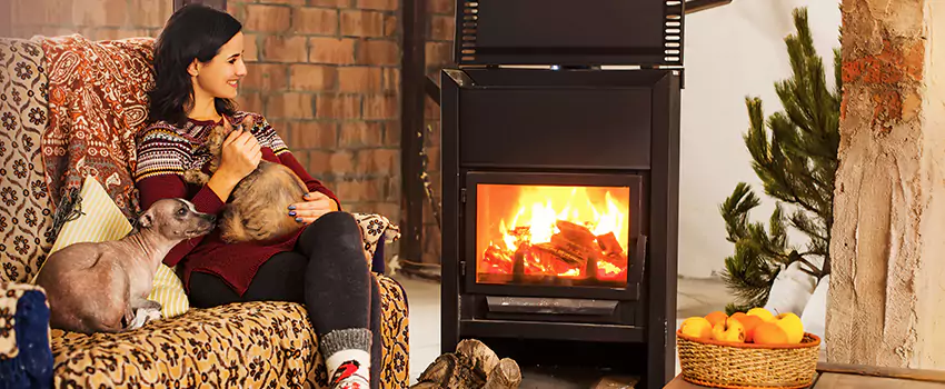 Wood Stove Chimney Cleaning Services in Inkster, MI