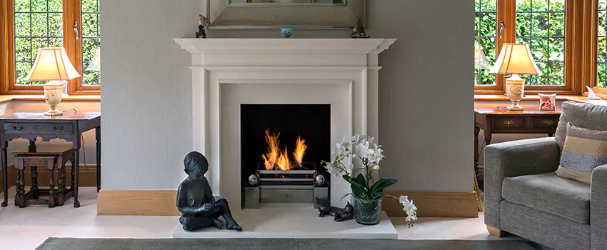 Astria Open-Hearth Wood Fireplaces Services in Inkster, MI