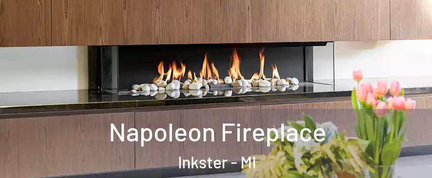  Napoleon Fireplace Inkster - MI